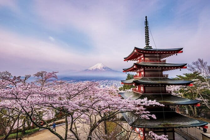 Kyoto Uncovered: One Full-Day Private Experience for First-Timers - Arashiyama bamboo forest street and Nonomiya Shrine