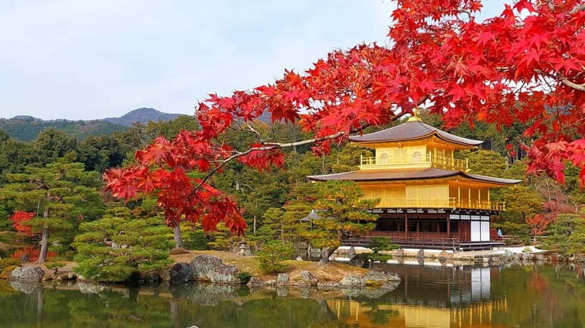 Kyoto UNESCO World Heritage Sites 1d Tour from Osaka/Kyoto - Key points worth your attention