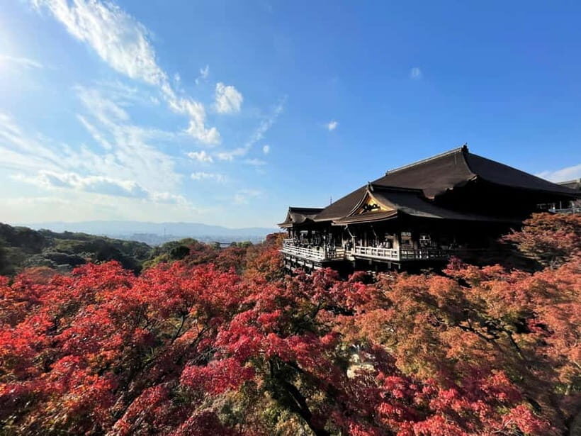 Kyoto UNESCO World Heritage Sites 1d Tour from Osaka/Kyoto - Price and Logistics: What $59 Actually Buys