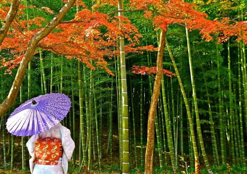 Kyoto UNESCO World Heritage Sites 1d Tour from Osaka/Kyoto - Kinkaku-ji Golden Pavilion: Gold Leaf, Mirror Pond, and Zen Stillness