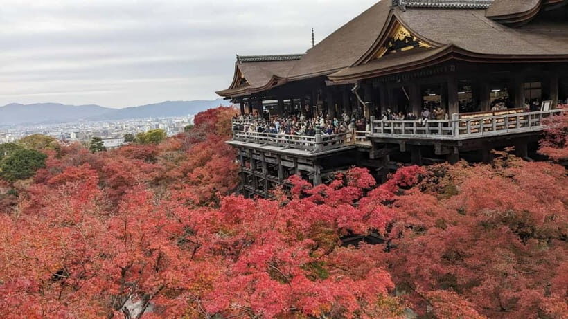 Kyoto: Walking tour Kiyomizu, Geisha District with a Local - Key Things You’ll Notice on This Kiyomizu + Gion Walk