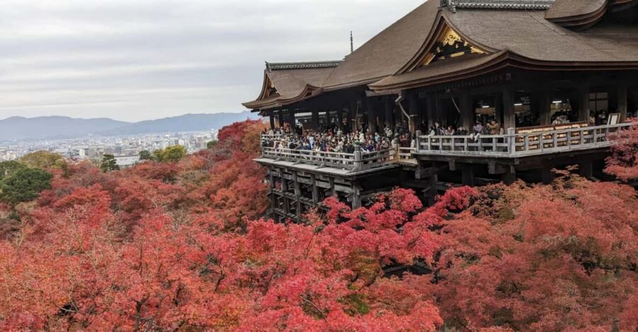 Kyoto: Walking tour Kiyomizu, Geisha District with a Local - Kiyomizu Temple Stop: Entry Ticket, Omikuji, and What to Watch For