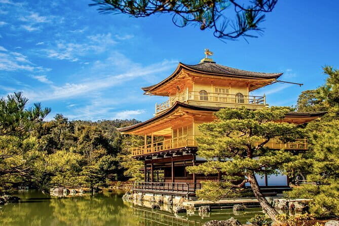 Kyoto&Nara Private Highlights Tour with English driver Pickup - Kinkaku-ji and Fushimi Inari: two of Kyoto’s most photogenic stops