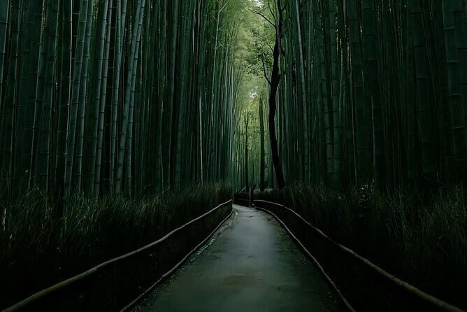 Kyoto&Nara&Osaka: One day private Customized Car tour - Why a Private Car Day Works in Kyoto