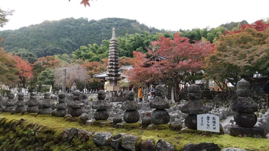 Kyoto:Quiet Arashiyama and Sagano Temples - Key points to look for
