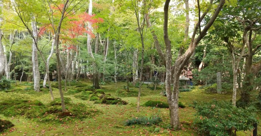 Kyoto:Quiet Arashiyama and Sagano Temples - Why Quiet Arashiyama and Sagano feels different