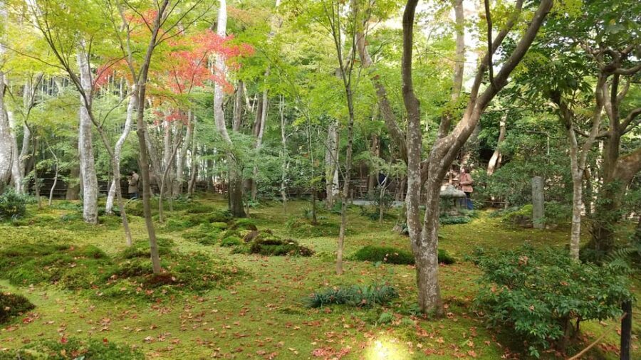 Kyoto:Quiet Arashiyama and Sagano Temples - Adashino Nenbutsu-ji: the heartless field and the 8,000 Buddhas