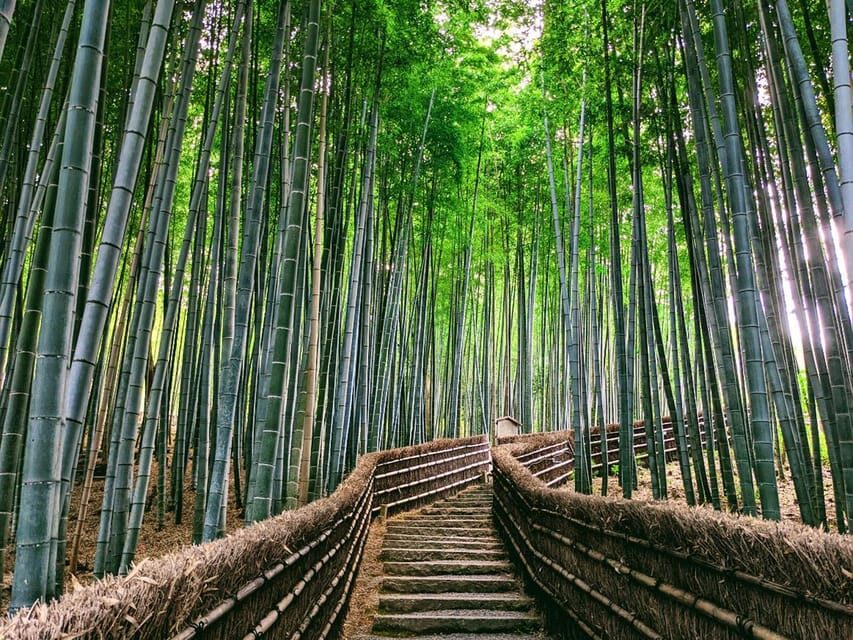 Kyoto:Quiet Arashiyama and Sagano Temples - Sagano bamboo grove views: scenic time without the sprint