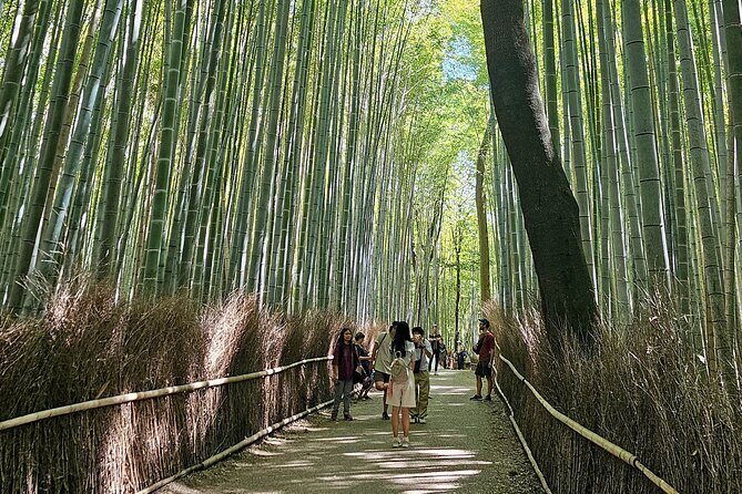 Kyoto's Arashiyama Bamboo Grove: 3-Hour Guided Tour - Key highlights worth choosing this tour for