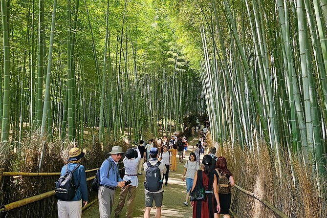 Kyoto's Arashiyama Bamboo Grove: 3-Hour Guided Tour - Price and value: what $28 buys (and what it doesn’t)