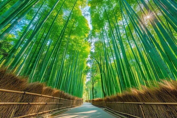Kyoto’s ONLY COUNTRYSIDE E-Bike Tour with a Japanese Local! - Why Kameoka’s E-bike Route Feels Different from Usual Kyoto Sights