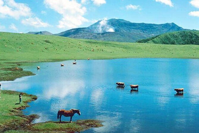 Kyushu: Aso Vocano, Grassland,Onsen and Aso shrine 1-Day Tour - Mt. Aso Nakadake Crater: The Main Event and What to Expect