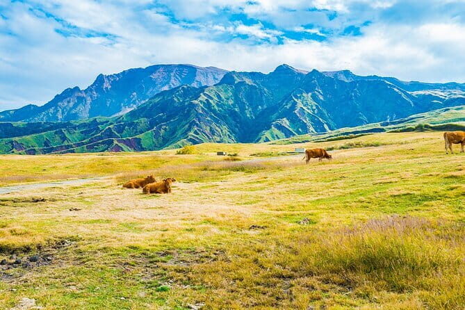 Kyushu: Aso Vocano, Grassland,Onsen and Aso shrine 1-Day Tour - Meeting in Fukuoka and Getting There Without Stress