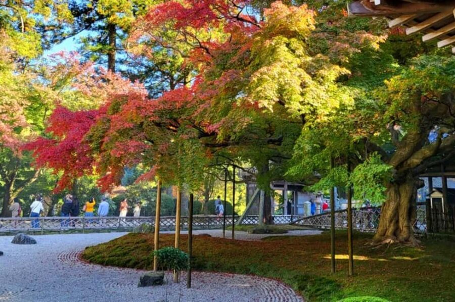 Kyushu Tour From Fukuoka: Itoshima Nature & Coastal Scenery - Price and Logistics: Why $67 Works for a Packed Route