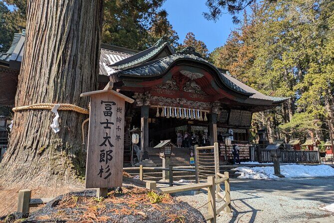 Lake Kawaguchi : Private Half Day Customized Tour w/ local guide - Price and value: what $65.03 covers, and where extras can show up