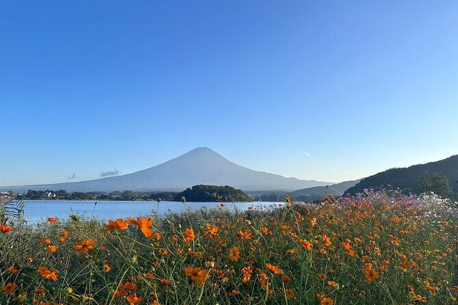 Lake Kawaguchi : Private Half Day Customized Tour w/ local guide - The guide factor: what makes Ryo-style service matter on a short itinerary