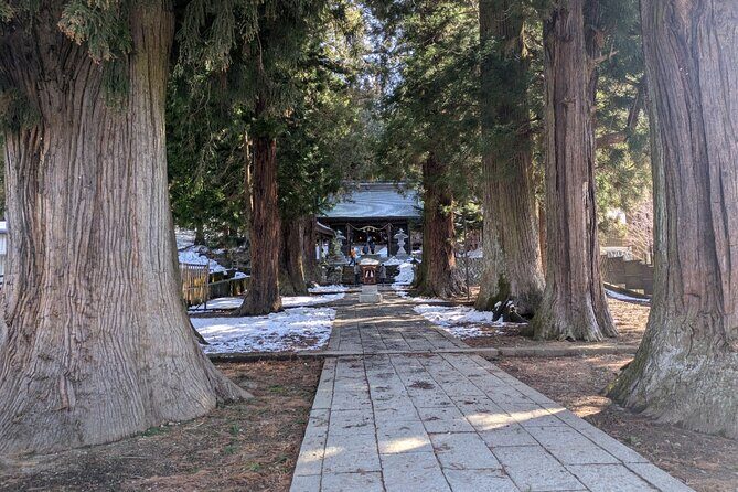 Lake Kawaguchi Private Hiking Tour with local guide - Potential highlights: shrine, waterfall, old forest, and caves