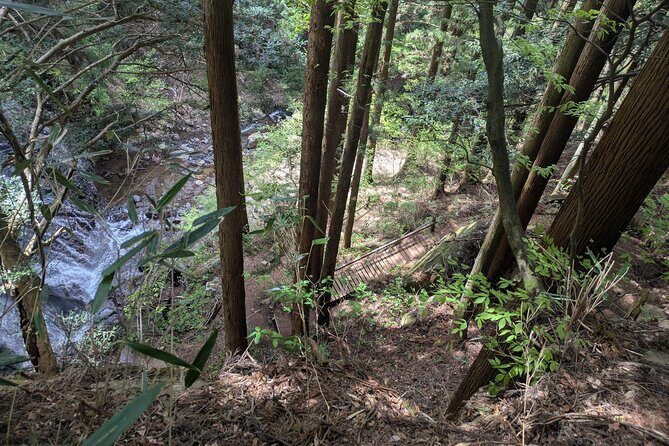 Lake Kawaguchi Private Hiking Tour with local guide - Your English guide: explanations plus picture help
