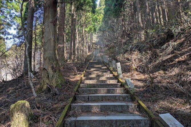 Lake Kawaguchi Private Hiking Tour with local guide - Getting there without hassle: pickup and drop-off help a lot