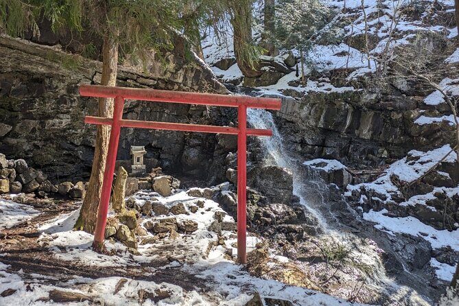 Lake Kawaguchi Private Hiking Tour with local guide - Timing, pacing, and how to plan your day around Mt Fuji