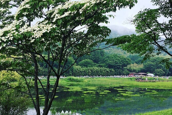 Lake Shidaka and Lake Kagurame Nordic Walking Tour - Stop 1: Lake Shidaka Nordic walking lesson and Shidaka Hakuryu Shrine
