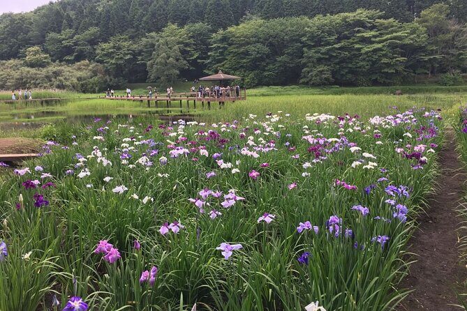 Lake Shidaka and Lake Kagurame Nordic Walking Tour - Forest bathing on the way to Lake Kagurame: slow down without falling behind