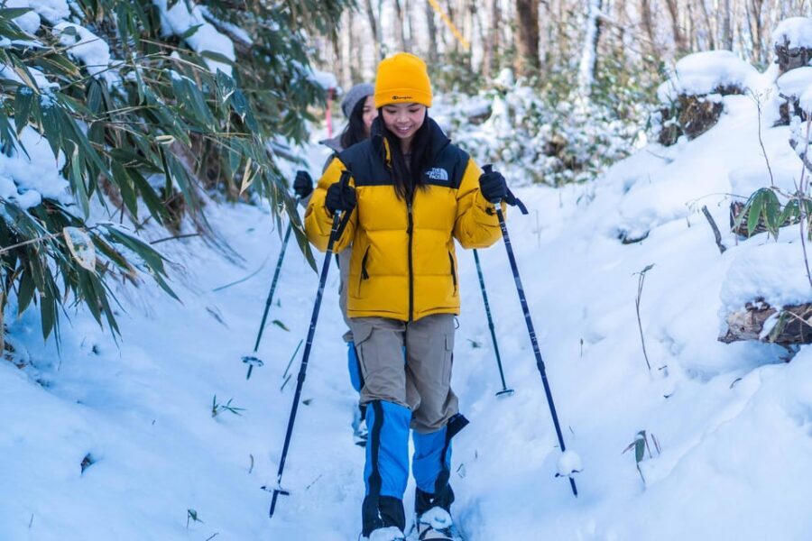 Lake Tachibana: Snowshoe to a frozen lake! - The downhill to the lake: where the challenge turns into payoff