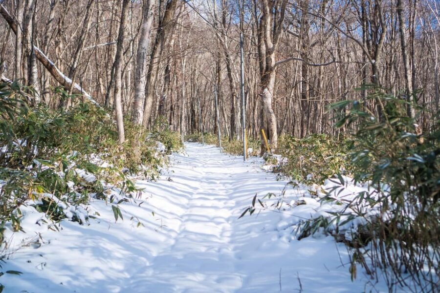 Lake Tachibana: Snowshoe to a frozen lake! - Equipment and clothing: how to avoid getting cold or soggy