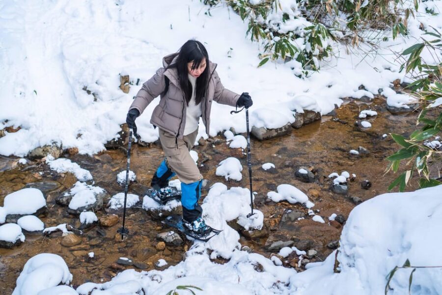 Lake Tachibana: Snowshoe to a frozen lake! - Pace, difficulty, and who this tour suits best