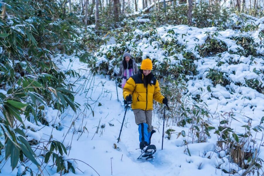 Lake Tachibana: Snowshoe to a frozen lake! - Morning vs later: timing that can make your day better