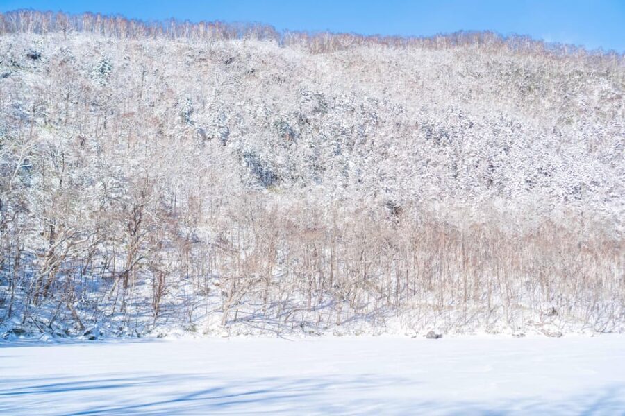 Lake Tachibana: Snowshoe to a frozen lake! - From Karurusu Onsen to the ridgeline: the forest trek phase