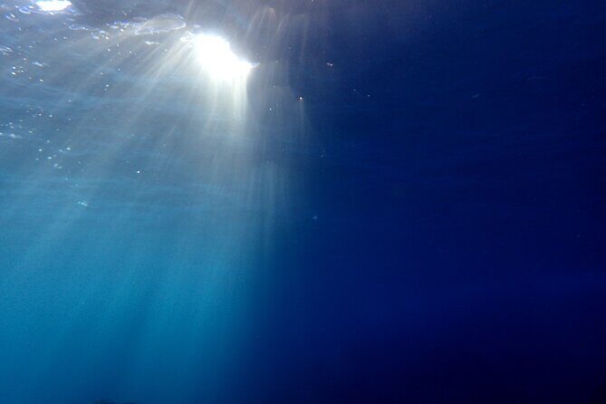 Let's enjoy Scuba diving in Izu Peninsula for certificate Diver - Morita san’s coaching style: calm, clear, and safety-first