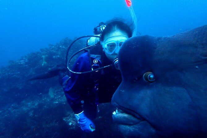 Let's enjoy Scuba diving in Izu Peninsula for certificate Diver - Packing list: make the start easy on a 6-hour day