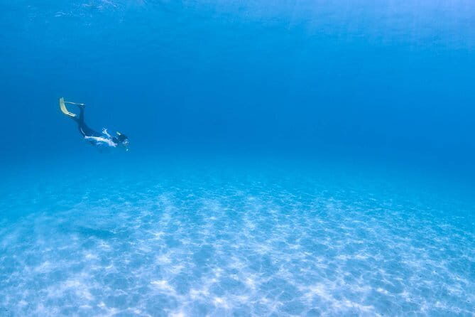 Let's swim with sea turtles in Yakushima!Snorkeling Tour - Key Highlights to Know Before You Go
