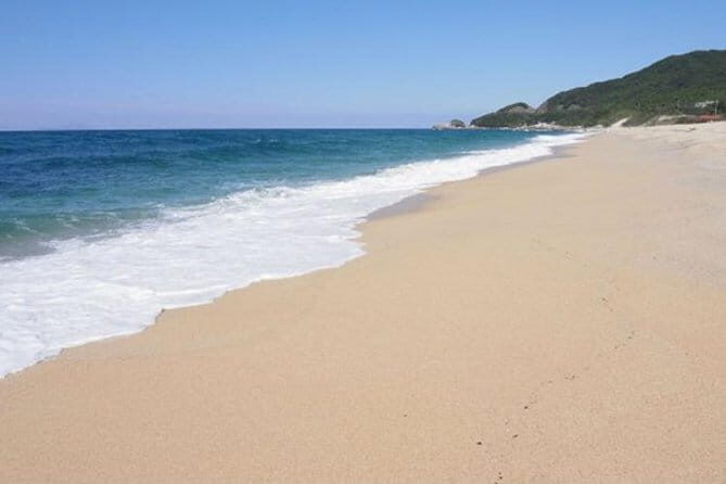 Let's swim with sea turtles in Yakushima!Snorkeling Tour - Timing, Weather, and What Can Throw Off the Plan