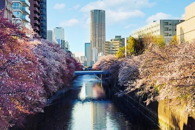 Licensed Guide Tokyo Meguro Cherry Blossom Walking Tour - Key highlights to know before you go