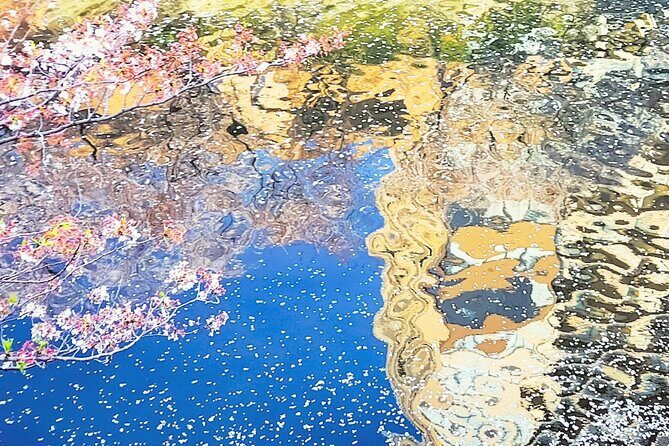 Licensed Guide Tokyo Meguro Cherry Blossom Walking Tour - Stop 1: Meguro River (40 minutes) — the cherry blossom corridor