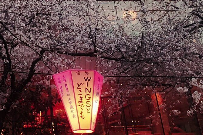 Licensed Guide Tokyo Meguro Cherry Blossom Walking Tour - Stop 3: Hotel Gajoen Tokyo (20 minutes) — a historic wedding-hall connection