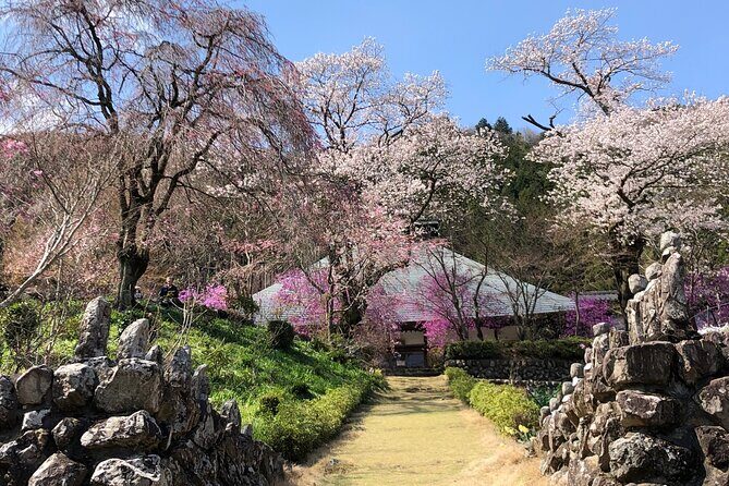 Little Adventure with Cycling in Tokyo No. 1 Crystal Clear River - E-bike second half, then suspension bridge to the hot spring finish