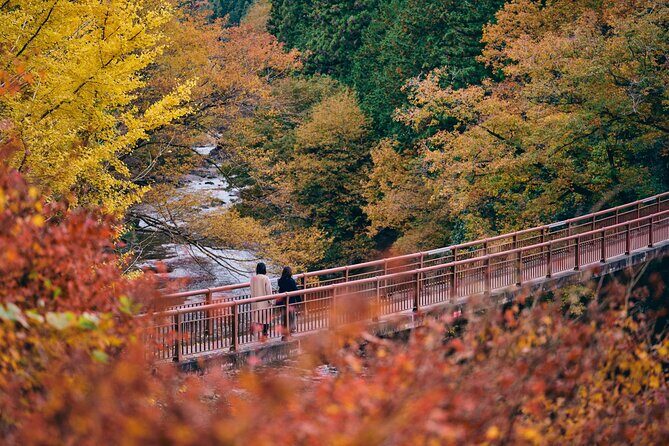 Little Adventure with Cycling in Tokyo No. 1 Crystal Clear River - Price and value: $143.34 for bikes, lunch, trekking, and a hot footbath