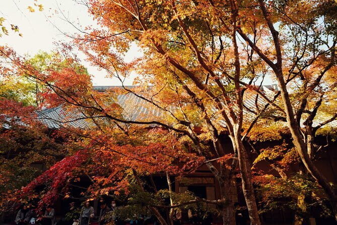Luxury Classic Kyoto Day Tour - Private Customized Car Tour - What $743.21 per person buys you (and why it can still be smart)