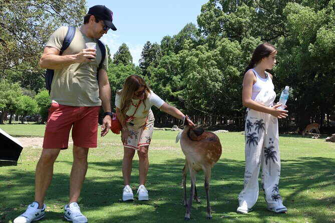 Luxury Kyoto 1-Day Private Car Tour with Nara & Osaka Options - Fushimi Inari Taisha: Finishing with Torii Gates and Motion