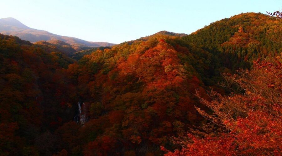 Luxury Nikko Gateway;Private Guided tour - Nikkō National Park in Autumn: Better With a Plan