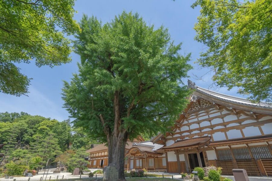 Magome-juku, Tsumago-juku & Ena-kyo 1d Bus Tour from Nagoya - How the Day Flows: Pacing, Walking, and Bus Return