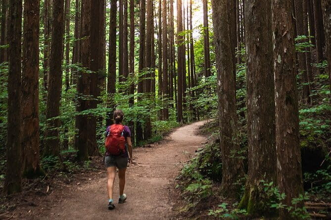 Magome to Tsumago Hiking Tour from Nagoya - Key highlights you’ll care about