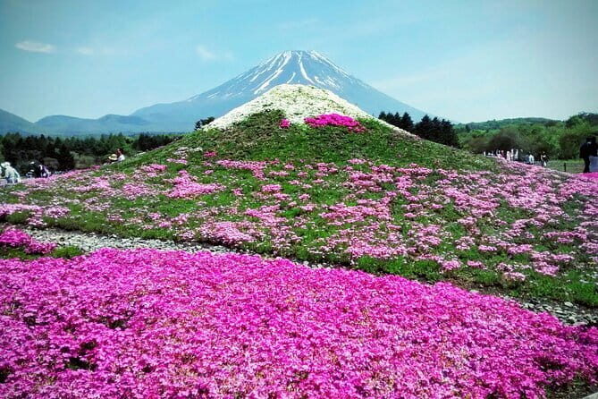 Majestic Mount Fuji: Exclusive Private Day Tour - Price and value: what $530 per group really means
