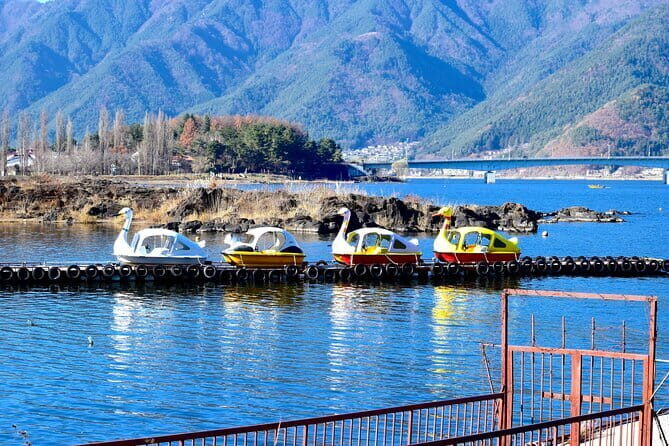 Majestic Mount Fuji: Exclusive Private Day Tour - Stop 1: Arakurayama Sengen Park and the Chureito/Zhongling Tower views