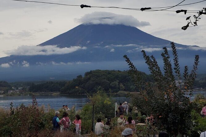 Majestic Mt. Fuji & Hakone Retreat –A Private Day Tour from Tokyo - Mt. Fuji 5th Station: Optional but Powerful If the Weather Allows