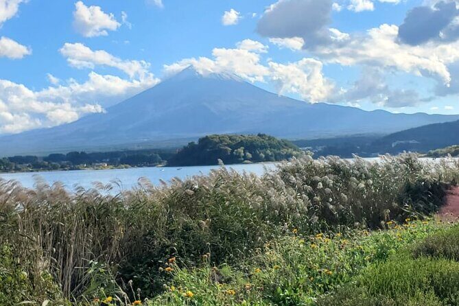 Majestic Mt. Fuji & Hakone Retreat –A Private Day Tour from Tokyo - Owakudani Valley and Hakone Ropeway: Volcanic Reality