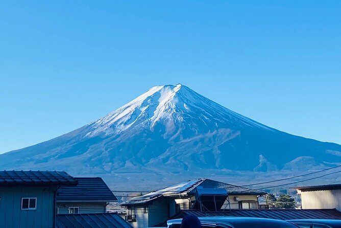 Majestic Mt. Fuji & Hakone Retreat –A Private Day Tour from Tokyo - Price and Logistics: What Your $495.39 Actually Buys